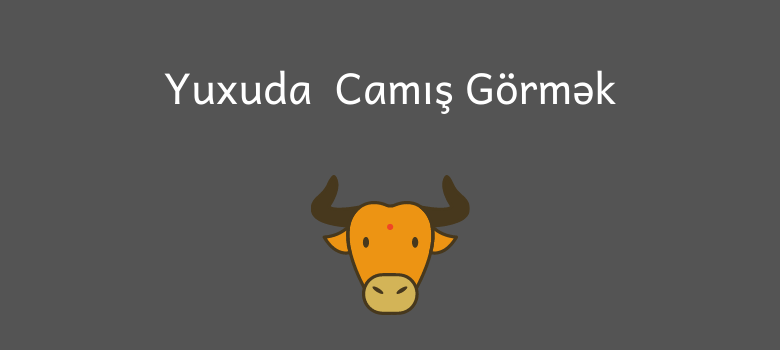 yuxuda camis gormek