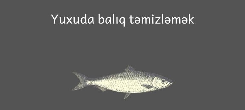 Yuxuda baliq temizlemek 