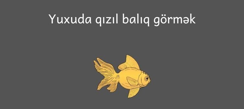 Yuxuda qizil baliq gormek