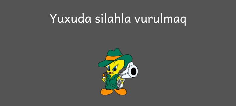 Yuxuda silahla vurulmaq