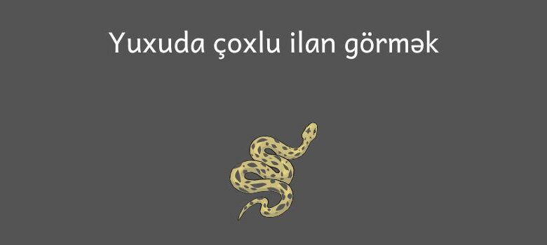 Yuxuda coxlu ilan gormek